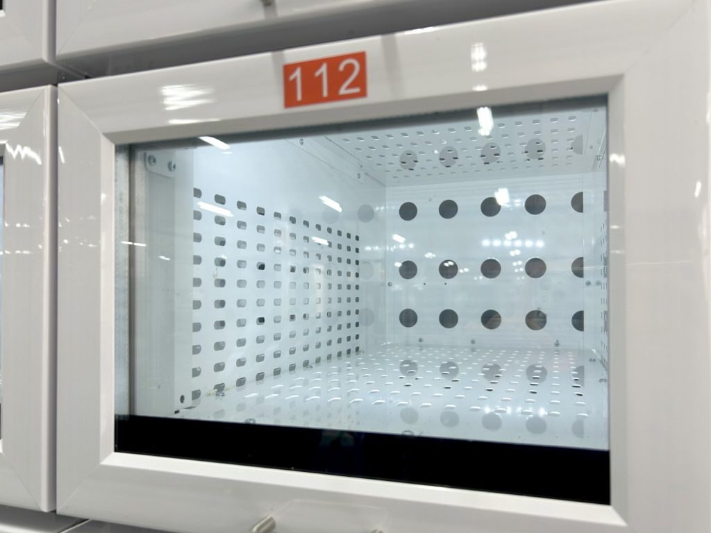 photo 20251031 135517178